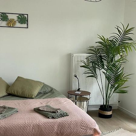 Studio T A 5Mn Euro Airport Avec Terrasse Saint-Louis  Exterior photo