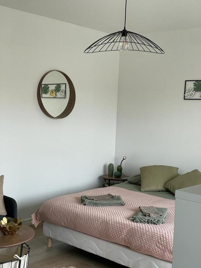 Studio T A 5Mn Euro Airport Avec Terrasse Saint-Louis  Exterior photo